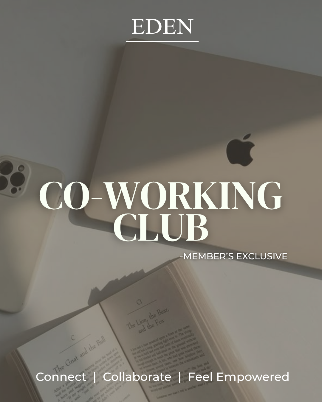 Members Co-working Club